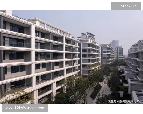 百丽宫公告：最新动态与重要信息解读